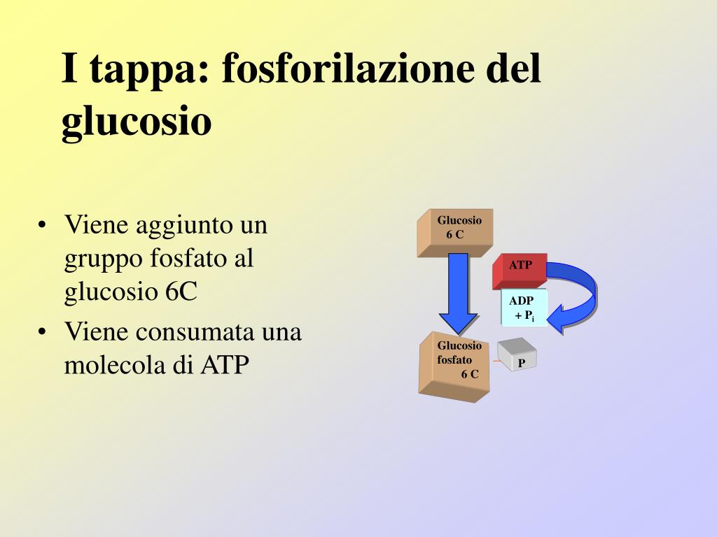 PPT LA GLICOLISI PowerPoint Presentation ID6132039