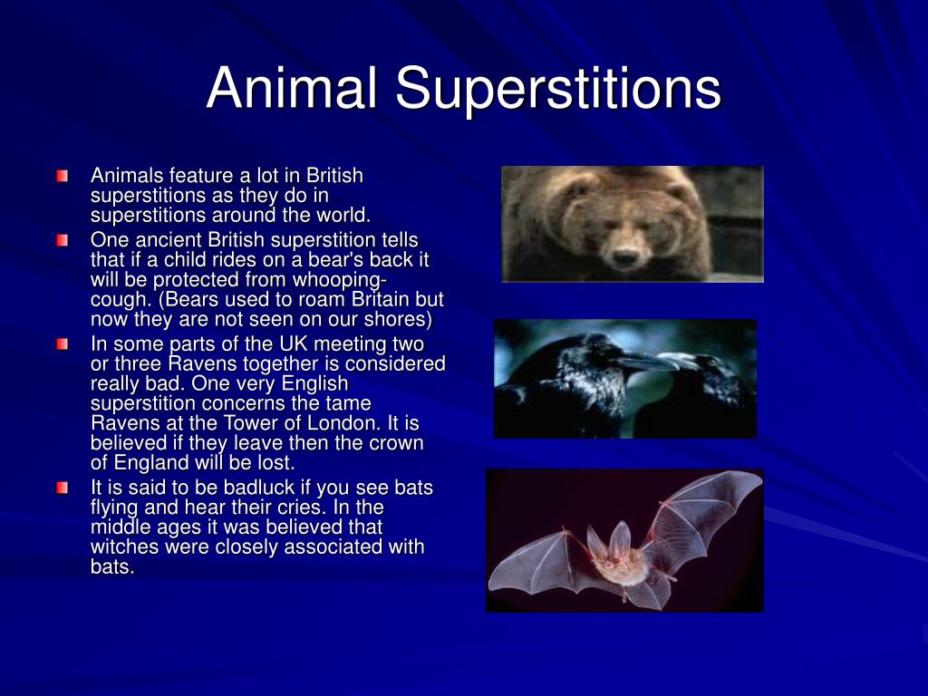 Kinds of superstitions. Superstitions animals. Superstitions around the World. Superstitions in great Britain. Superstitions of Russia.