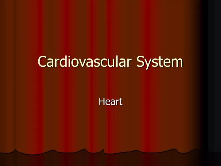 cardiovascular system n.