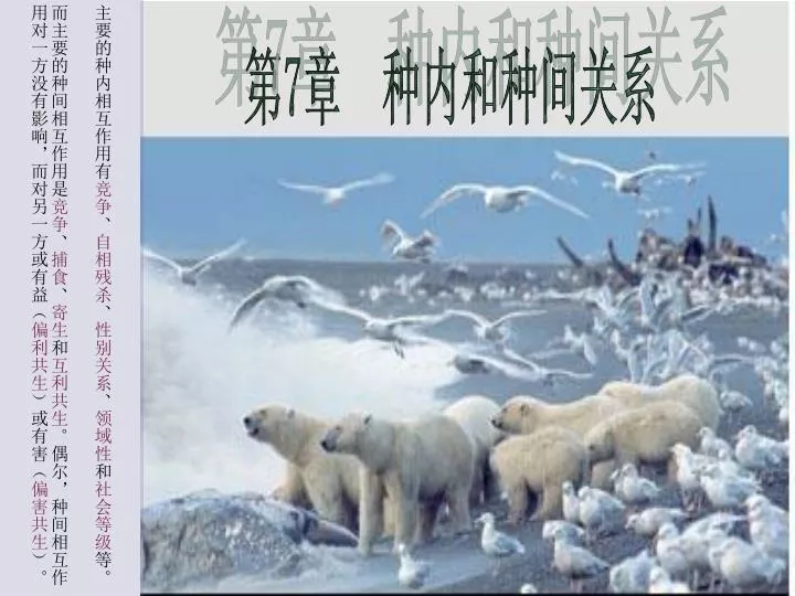 Ppt 第7 章种内和种间关系powerpoint Presentation Free Download Id Ppt 第7 章种内和种间关系powerpoint Presentation Free Download Id