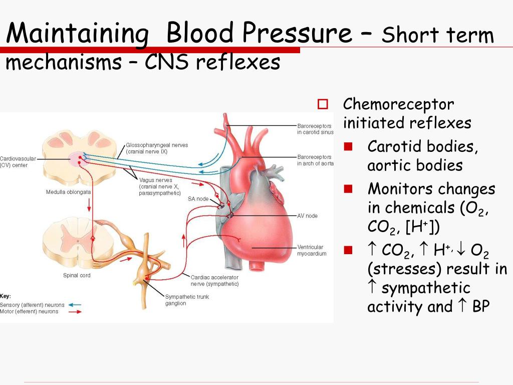 ata chapter 21 pressure systems ata chapter 21 pressure systems