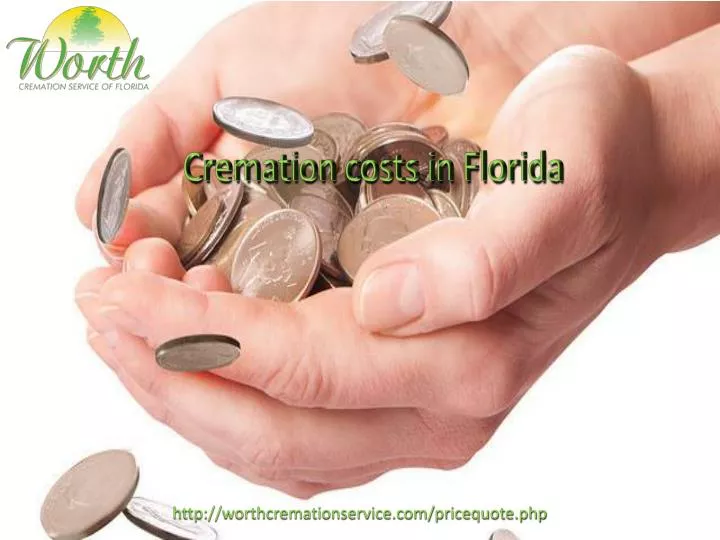 cremation costs in florida n.