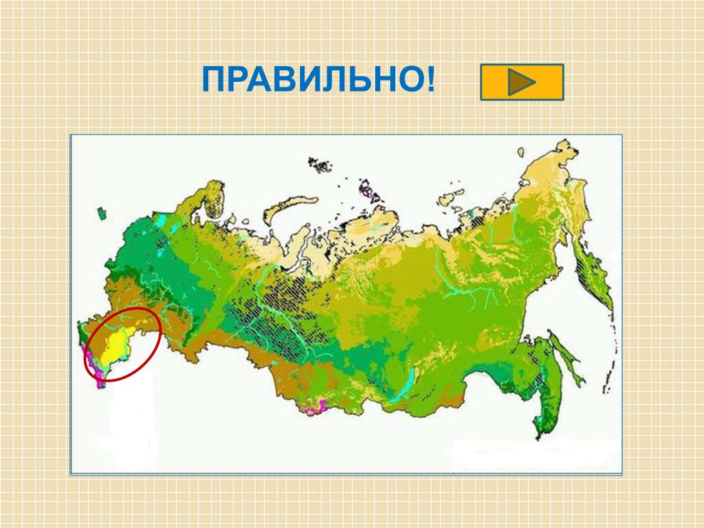 Зона пустынь и полупустынь на карте. Зона пустынь и полупустынь в России на карте. Пустыни России на карте. Зона пустыни на карте России. Полупустыни на карте России.