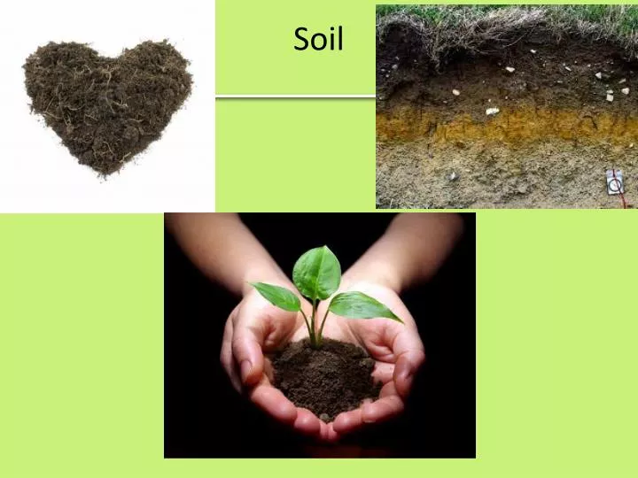 PPT Soil PowerPoint Presentation Free Download ID 6142147
