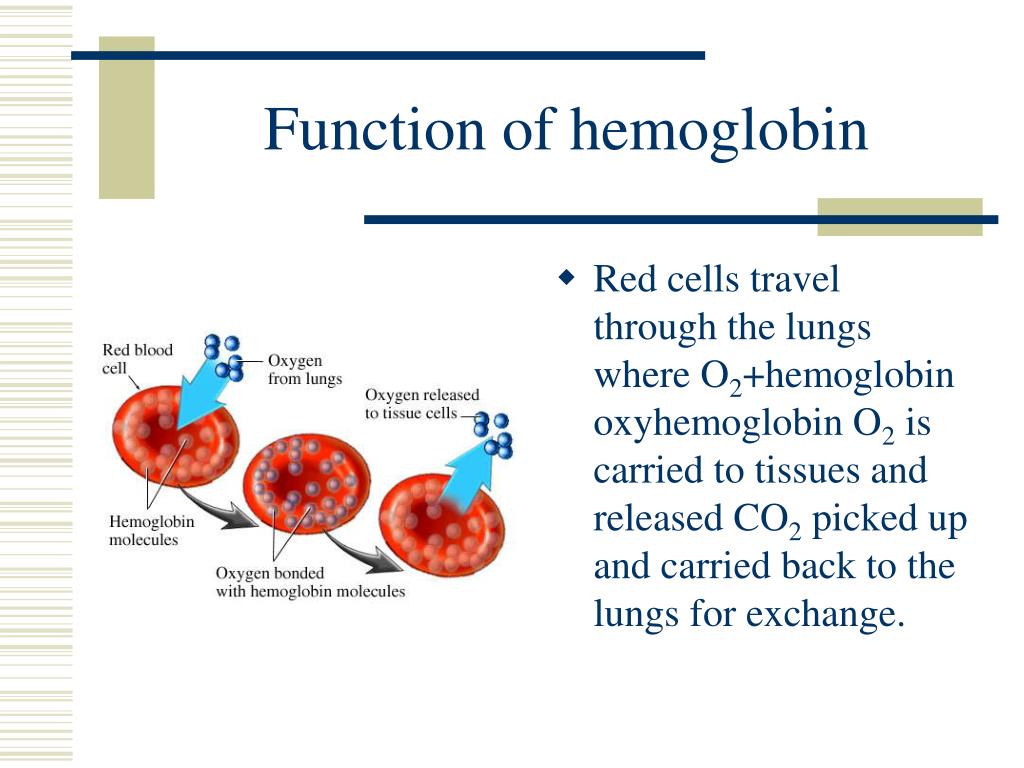 PPT Hematology PowerPoint Presentation Free Download ID 6142407