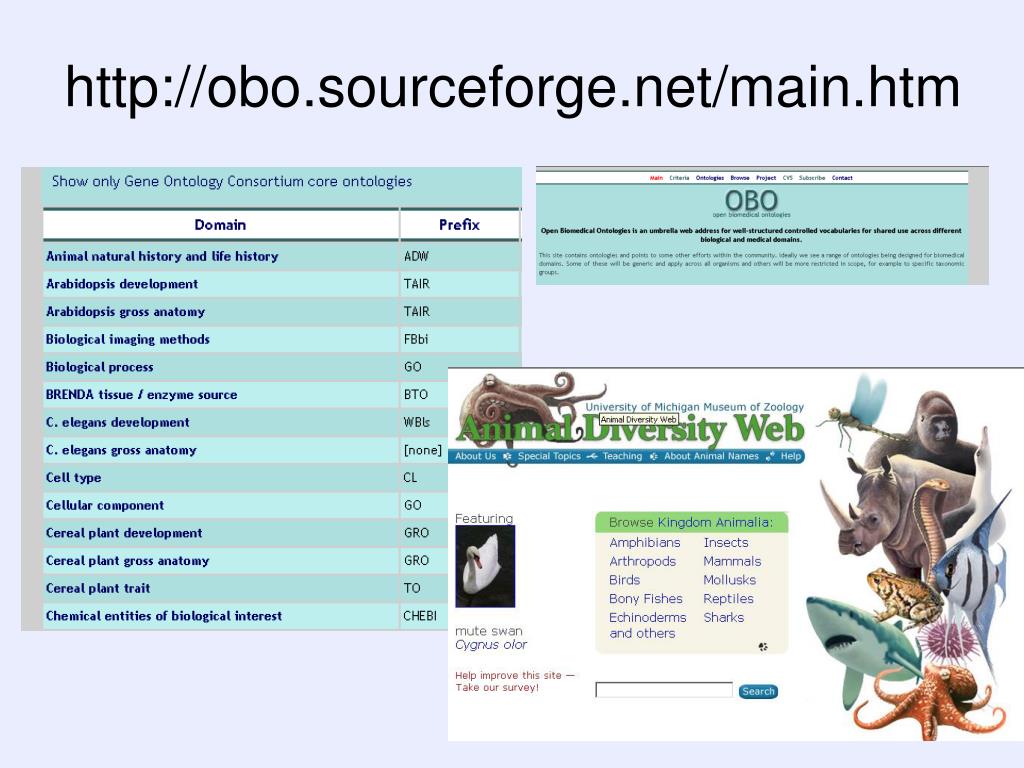 Http sourceforge. .Net main features. Interesting facts Biology.
