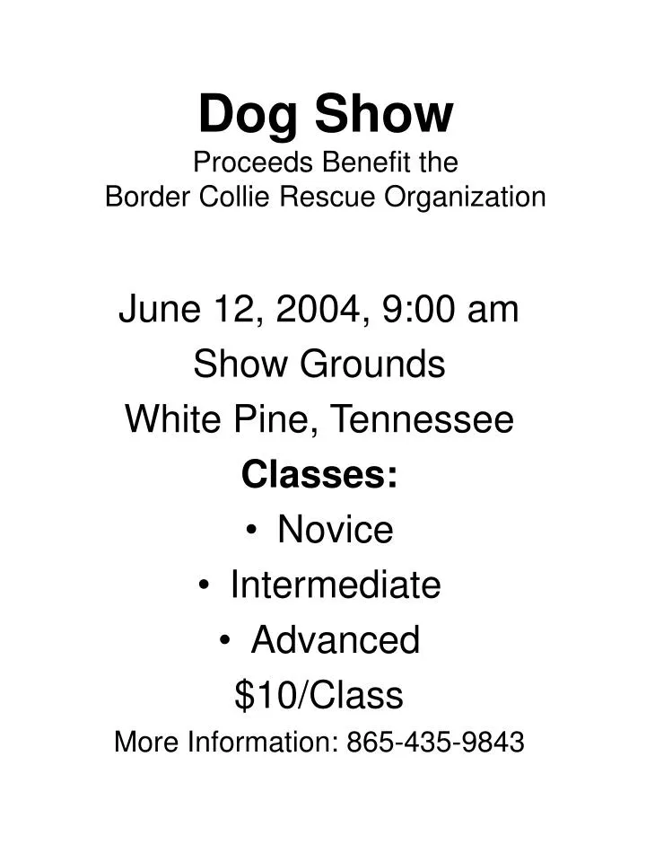 dog show proceeds benefit the border collie rescue organization n.