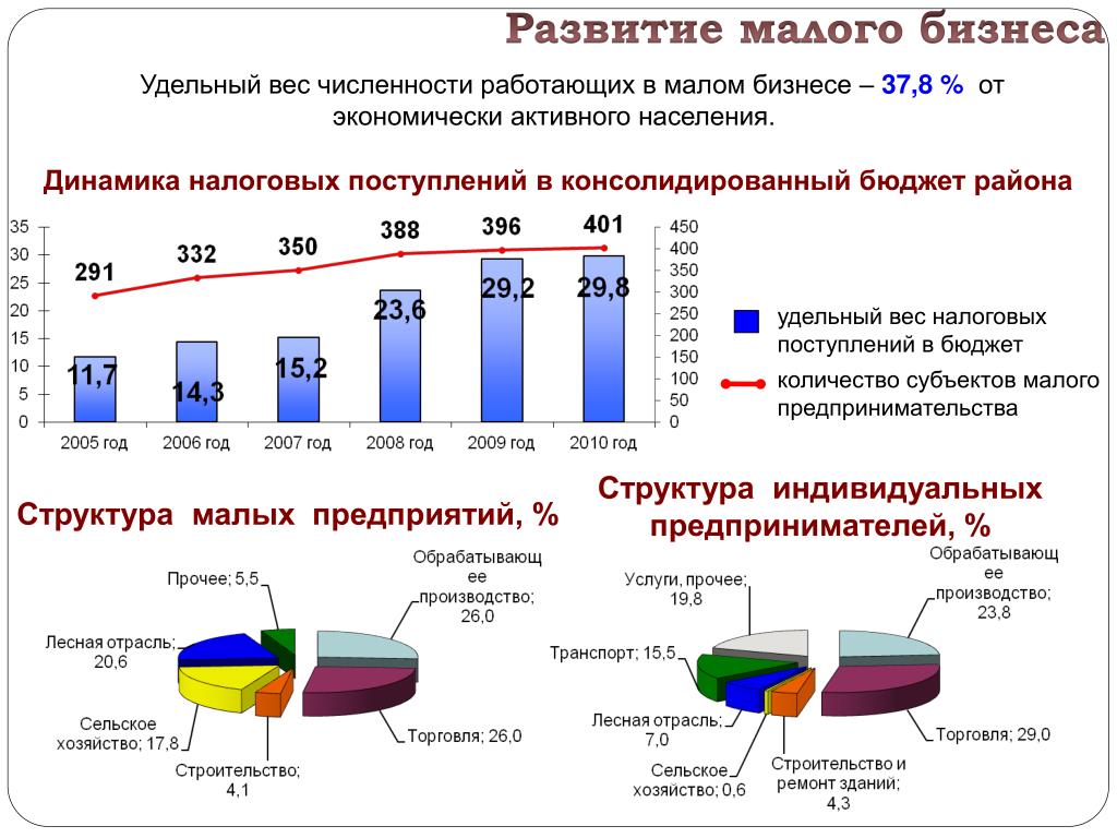 Проект развитие малого бизнеса