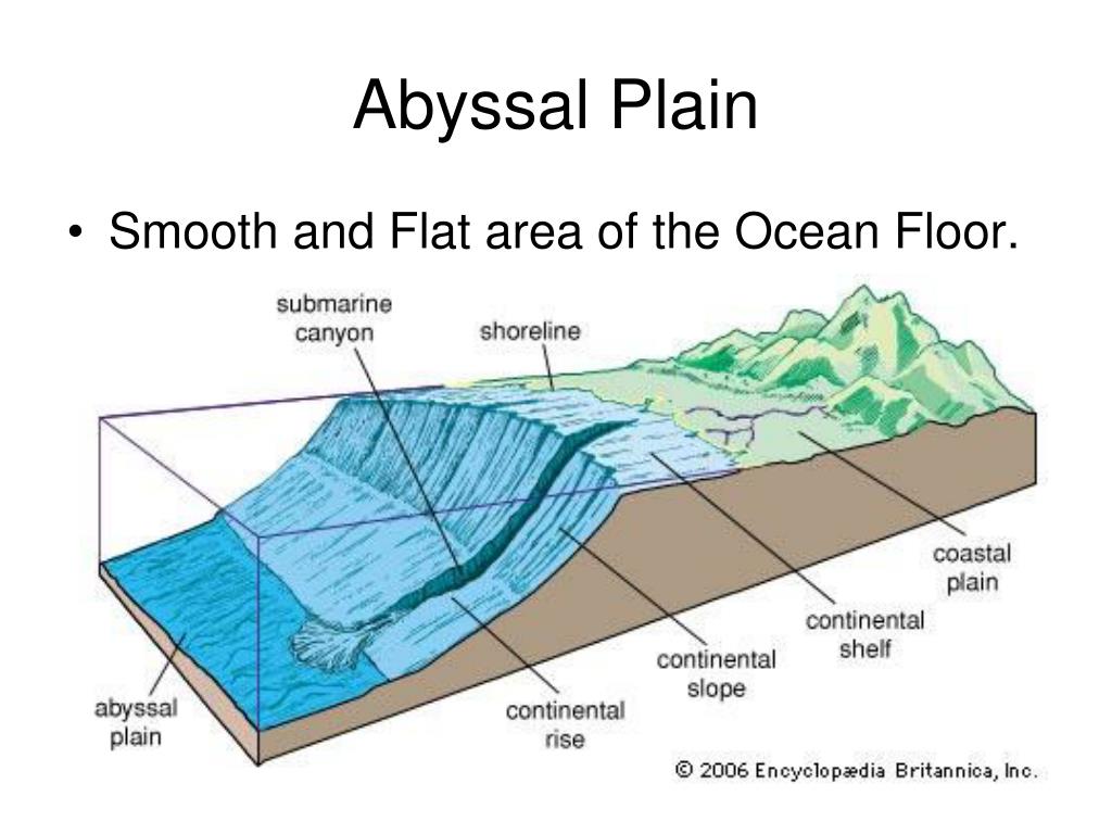Flat area. Материковый склон. Шельф это в географии. Подводный береговой склон. Подводных каньонов континентального склона.