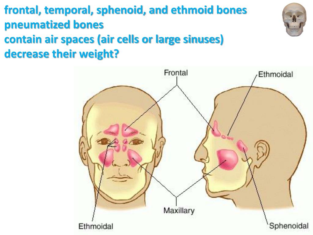 Гиперплазия слизистой верхнечелюстной. Утолщение слизистой пазух носа. Гиперплазия верхнечелюстной пазухи что это такое. Пристеночное утолщение слизистой оболочки ячеек решетчатой кости. Утолщение слизистой околоносовых пазух.