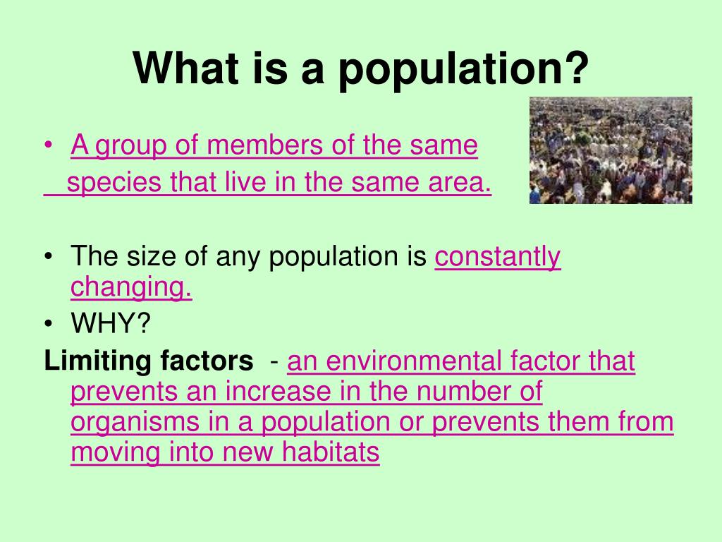 PPT - Ecosystem Interactions & Factors That Affect Populations ...