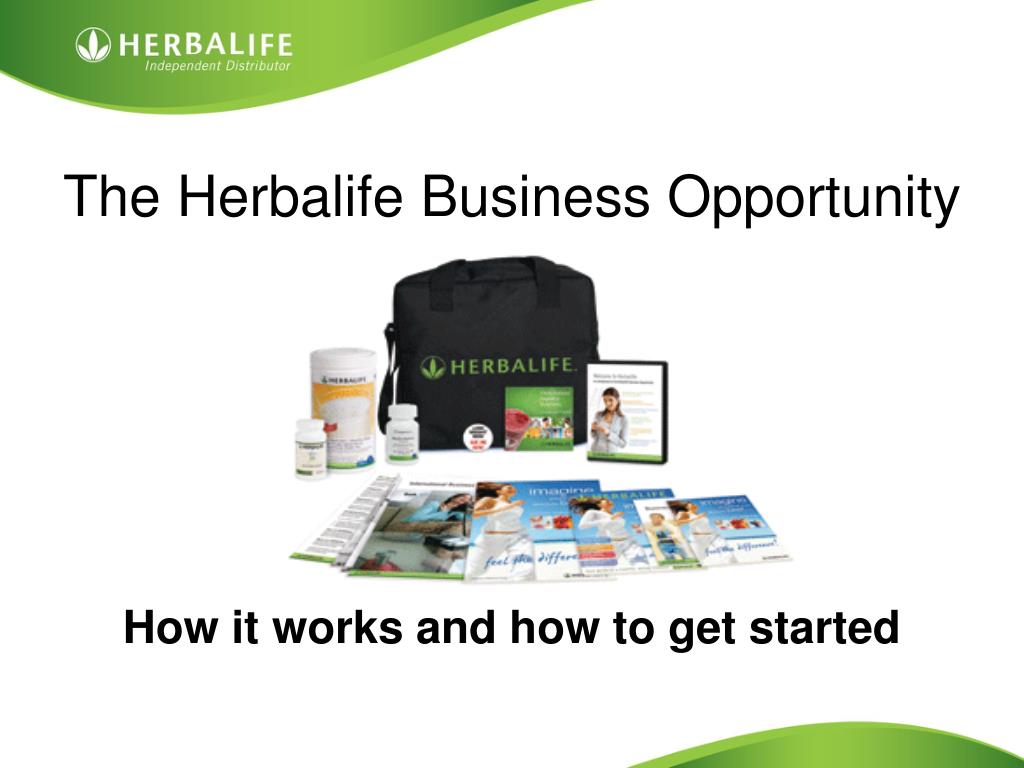 herbalife business plan ppt presentation