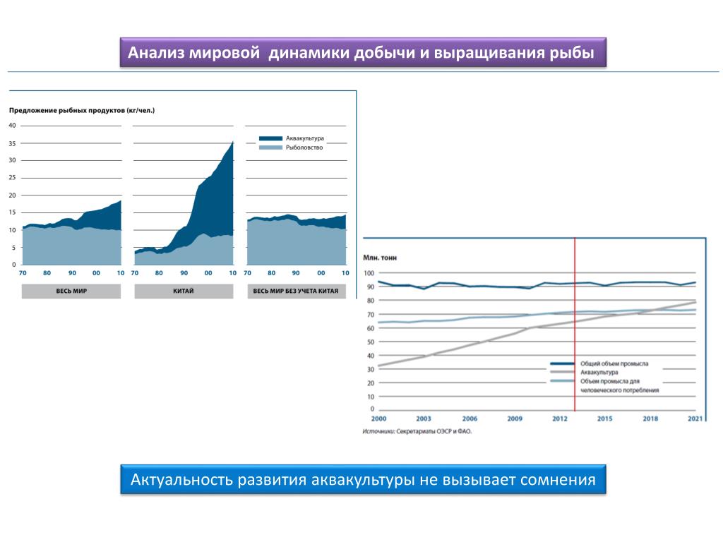 Рыба анализ. Мировой анализ. Динамика мирового выращивания. Глобальный анализ. Анализ рыба.