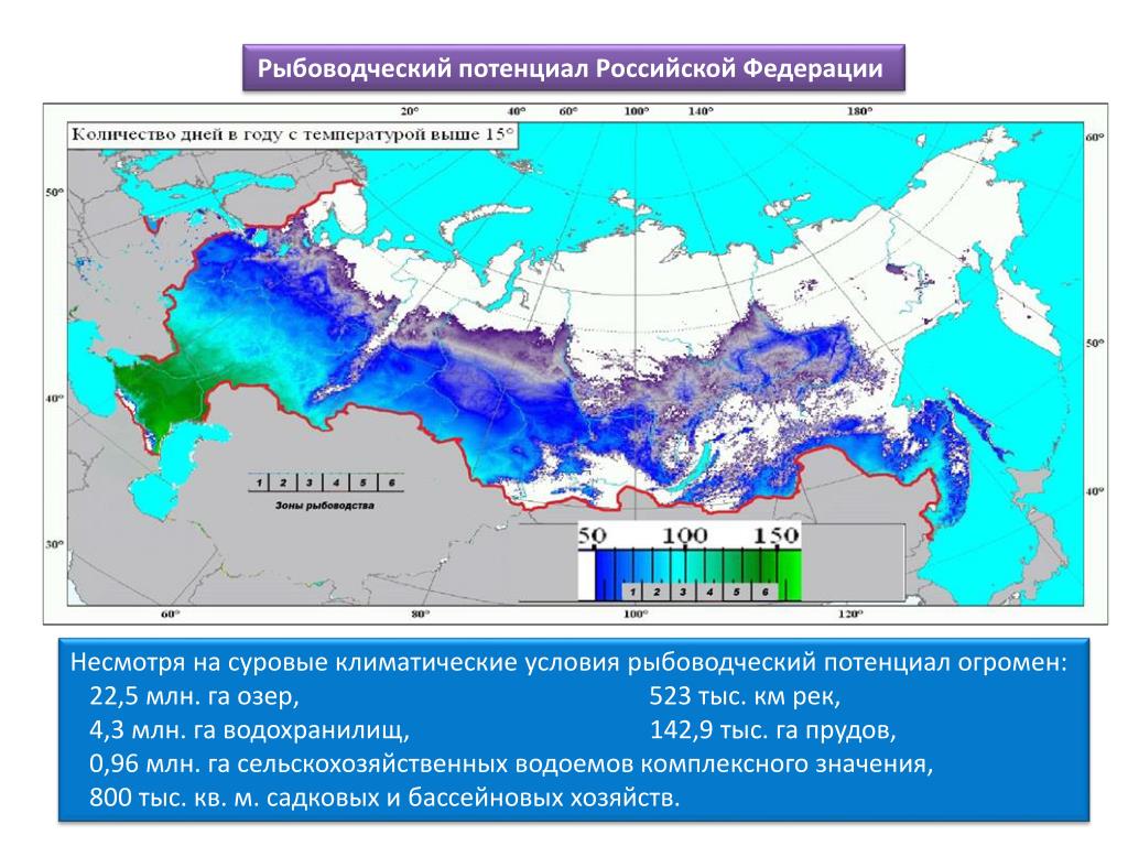 Рыбохозяйственные бассейны россии карта