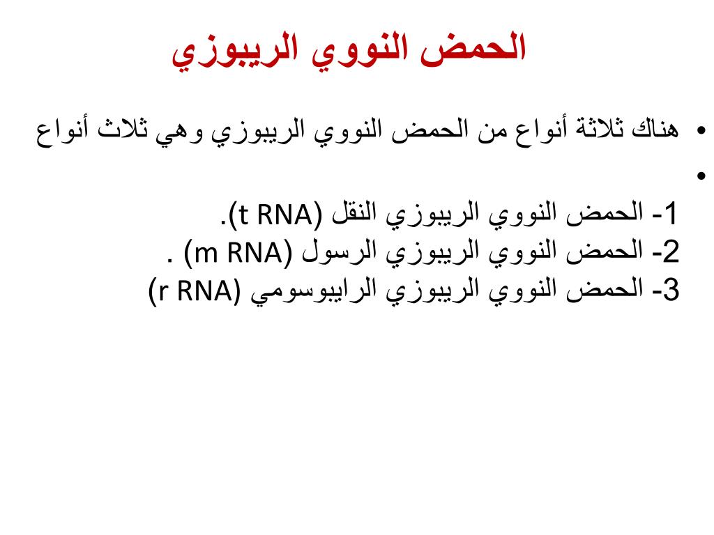 Ppt الأحماض النووية Powerpoint Presentation Free Download Id 6150380