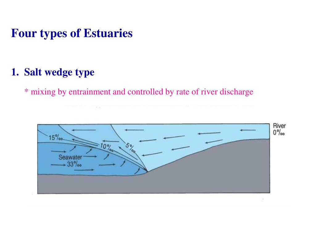 PPT Chapter 12 Coasts, Beaches, Estuaries The Oregon coast