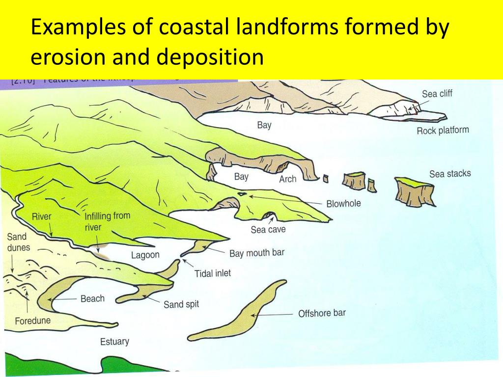 Coastal Landforms Coastal Landforms Coggle Diagram - Gambaran