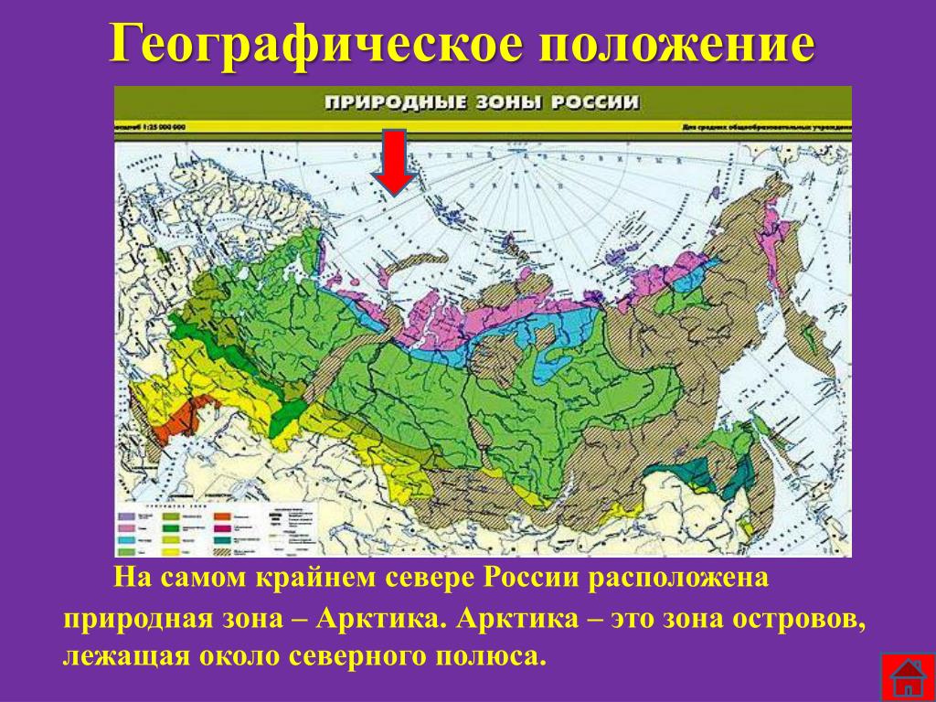 Природные зоны россии по порядку с севера