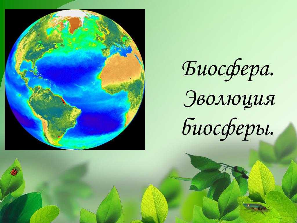Исследования и экологические проблемы биосферы 6 класс. Биосфера. Эволюция биосферы презентация. Формирование биосферы. Эволюция биосферы по Вернадскому.