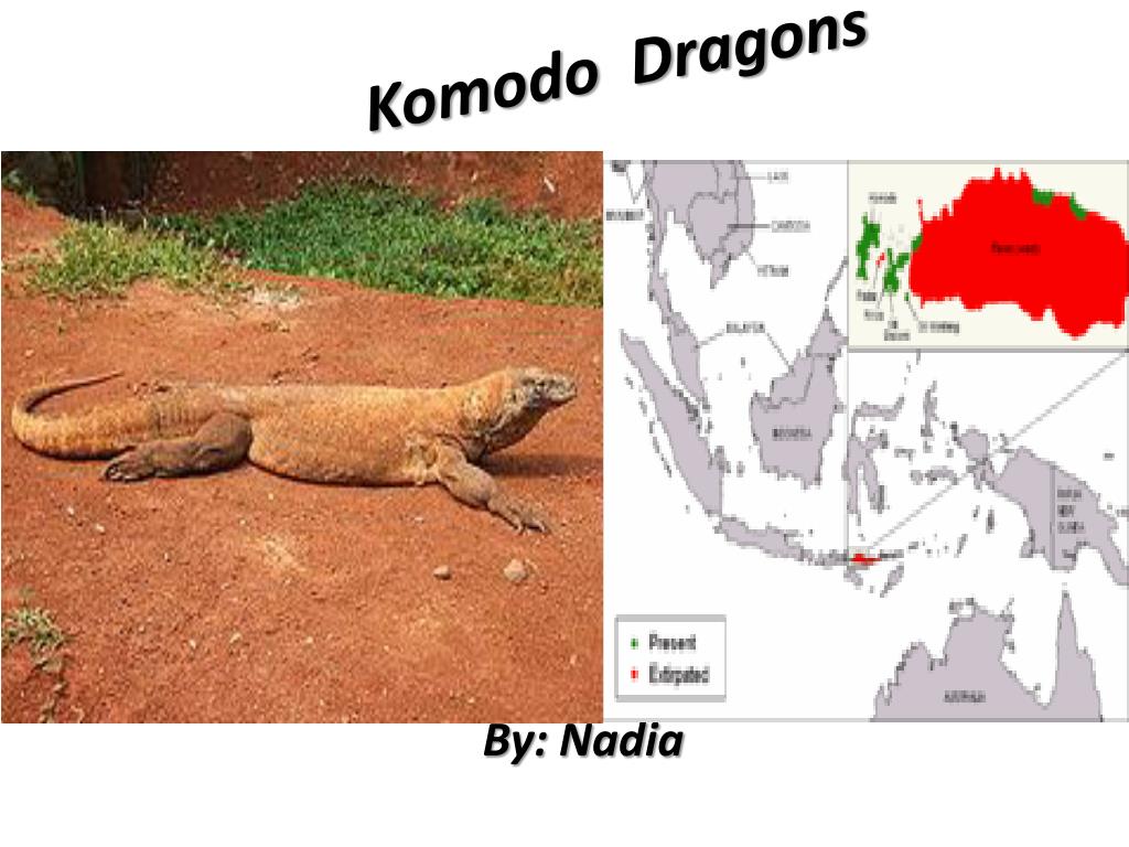 komodo dragon habitat map