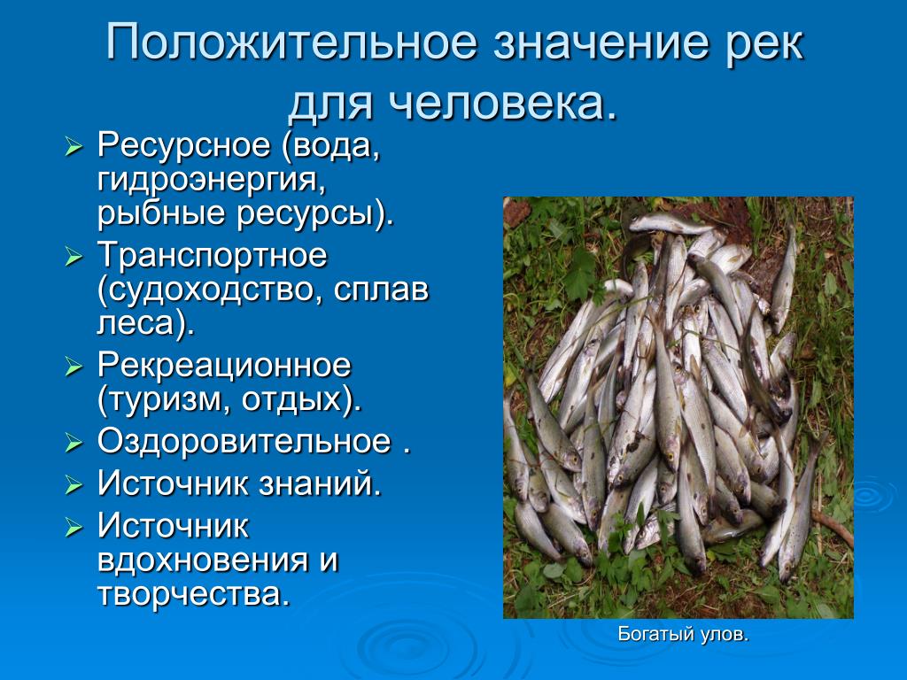 5 примеров использования рек