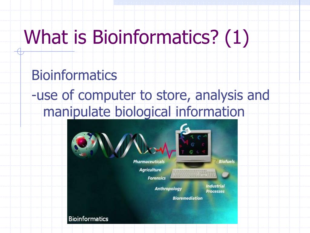 PPT Development of Bioinformatics and its application on