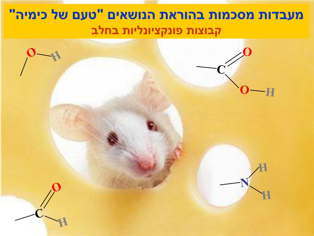 3 Mistakes In ג'יימס וולק That Make You Look Dumb
