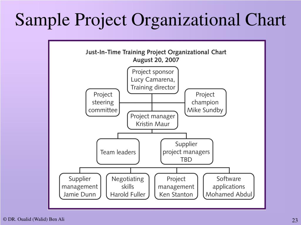 Sample Project Organization Chart