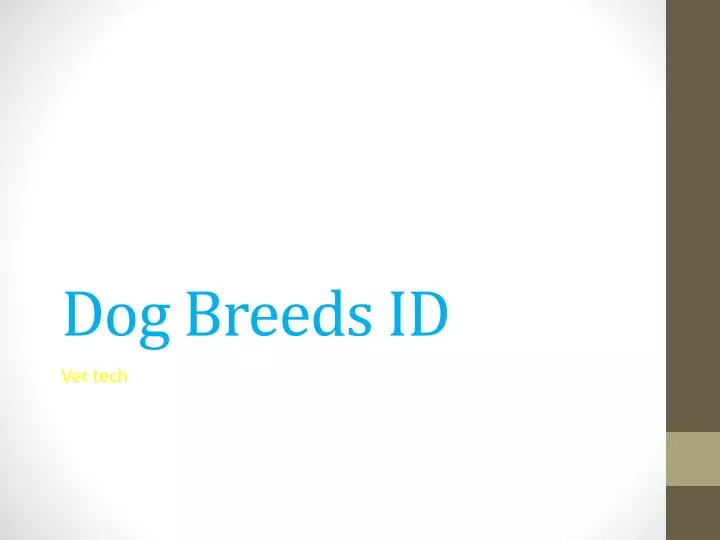 dog breeds id n.