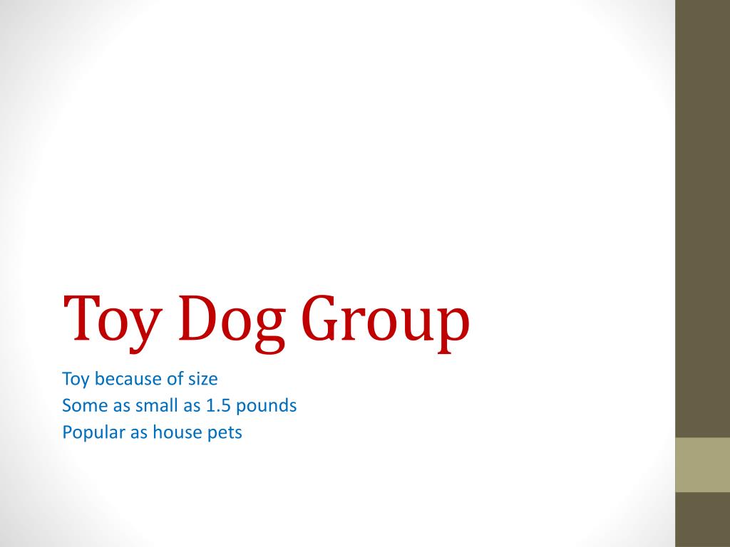 PPT Dog Breeds ID PowerPoint Presentation, free download ID6156794