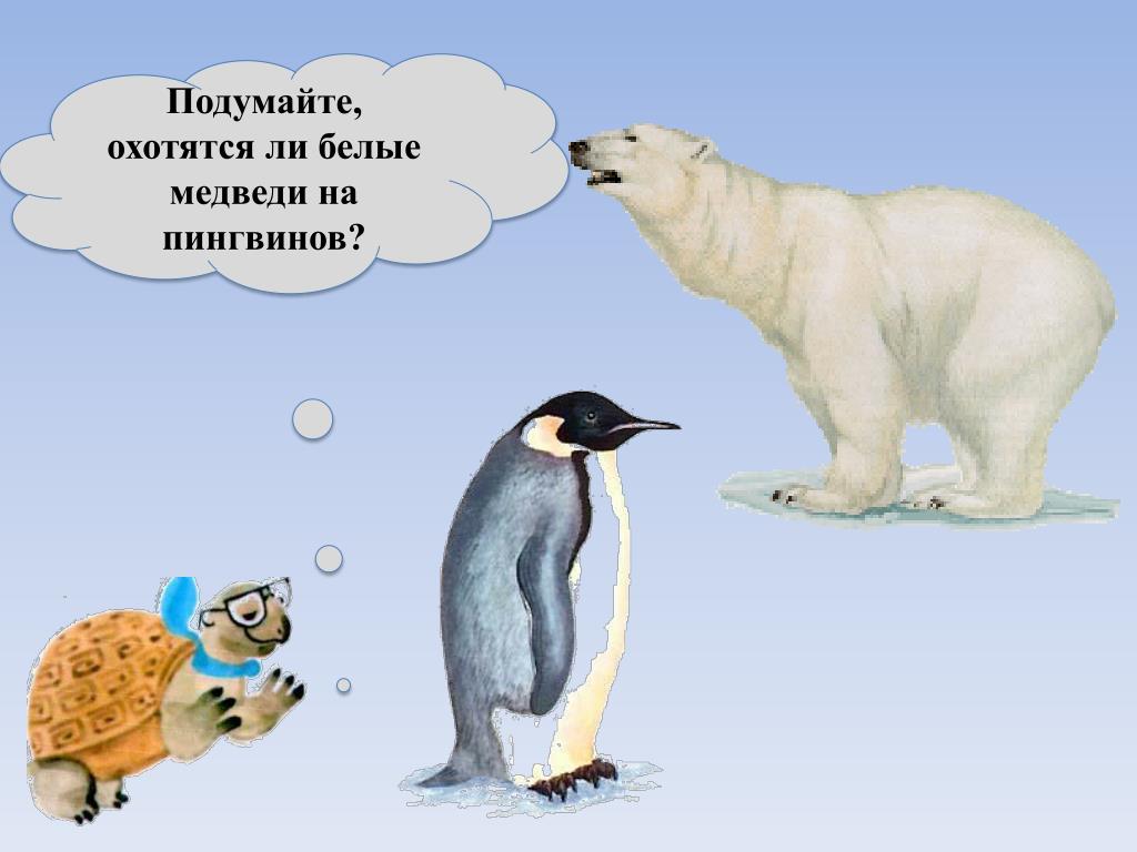 Жил был 1 медведь. Белый медведь и Пингвин. Белые медведи и пингвины живут. Белый медведь охотится на пингвинов. Белый медведь и Пингвин Пингвин.
