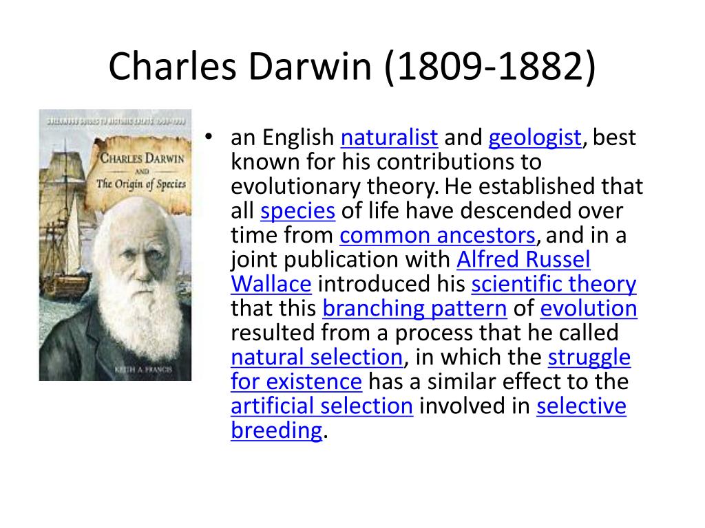 who is charles darwin essay