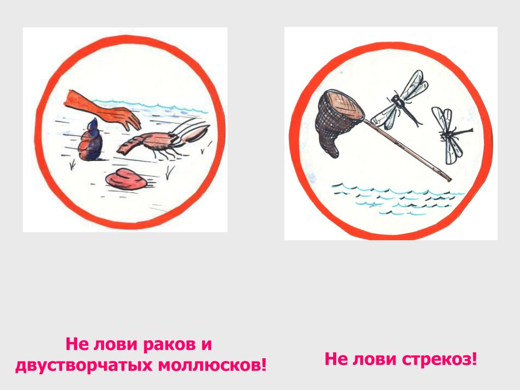Почему нельзя ловить рыбу. Запрещающие знаки поведения у водоема. Знаки о поведении возле водоема. Разрешающие знаки поведения у водоема. Запрещающие знаки правил поведения у водоемов.