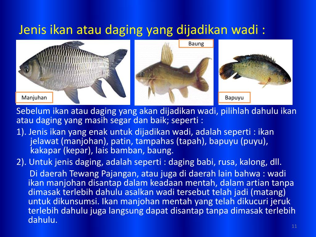 PPT - TEKNOLOGI PENGAWETAN MAKANAN PowerPoint Presentation ...
