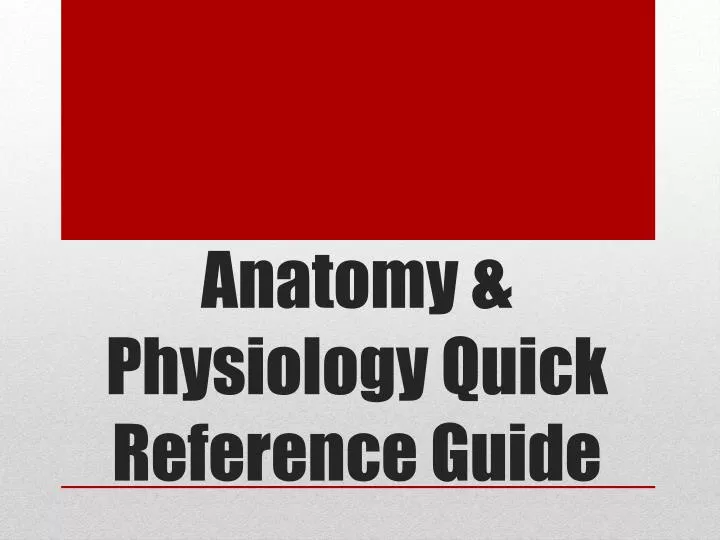 anatomy physiology quick reference guide n.