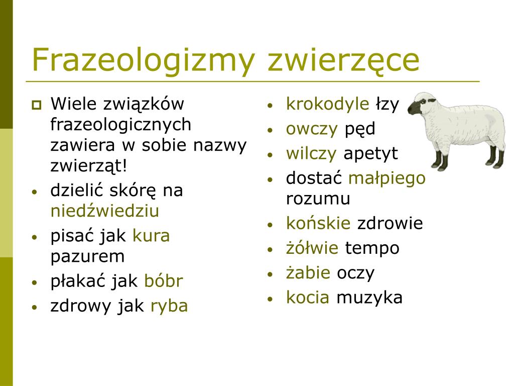 Związki Frazeologiczne Z Mitologii I Ich Znaczenie PPT - Związki frazeologiczne PowerPoint Presentation, free download