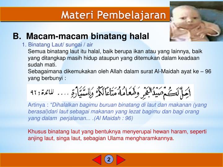 PPT BINATANG YANG HALAL DAN HARAM PowerPoint PPT BINATANG YANG HALAL DAN HARAM PowerPoint