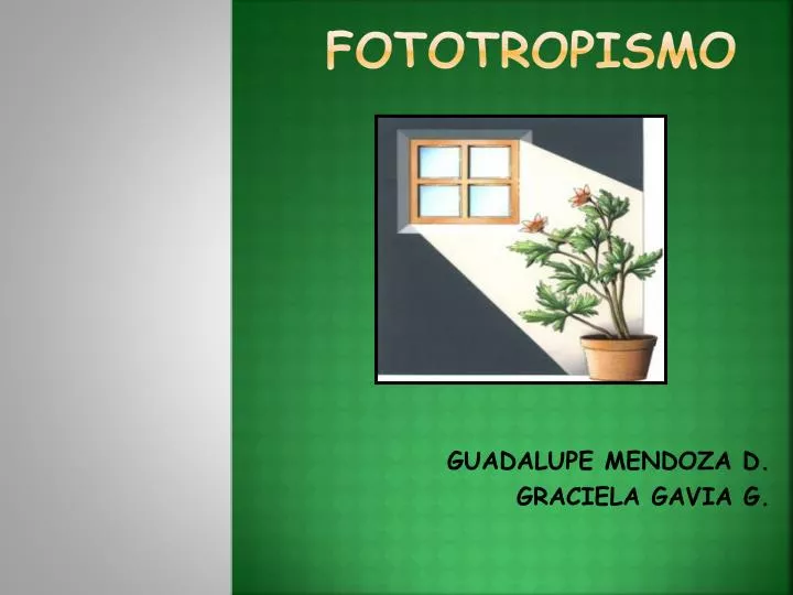 PPT - FOTOTROPISMO PowerPoint Presentation, free download - ID:6163479