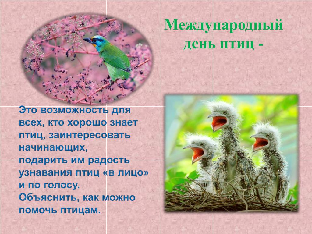 Определите основную мысль текста многое умеют птицы. Международный день птиц. День птиц презентация. Стихи на день птиц. Международный день птиц символ.