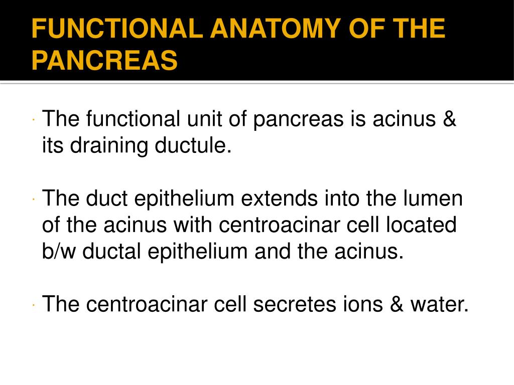 PPT - Pancreatic function tests PowerPoint Presentation, free download