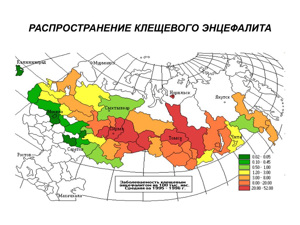 Территория распространения заболеваний называется. Карта распространения иксодовых клещей в России. Карта распространения энцефалитного клеща в мире. Клещевой энцефалит зона распространения. Ареал распространения клещевого энцефалита в России.