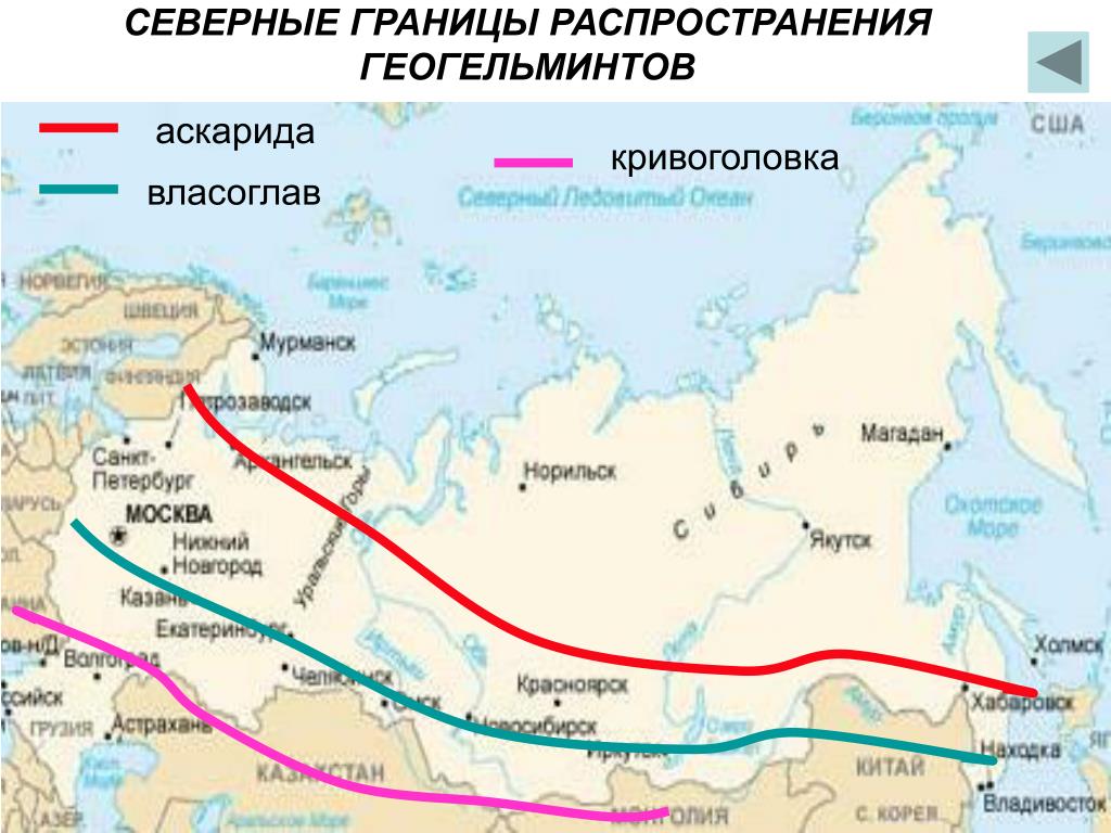 На севере граница россии проходит по