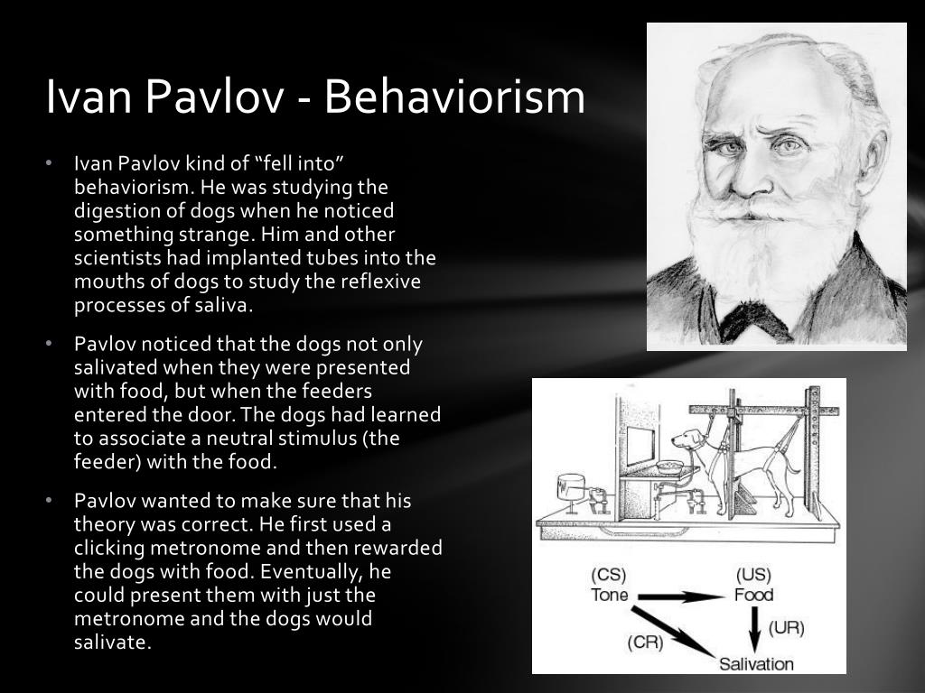ivan pavlov pioneered the study of ivan pavlov pioneered the study of