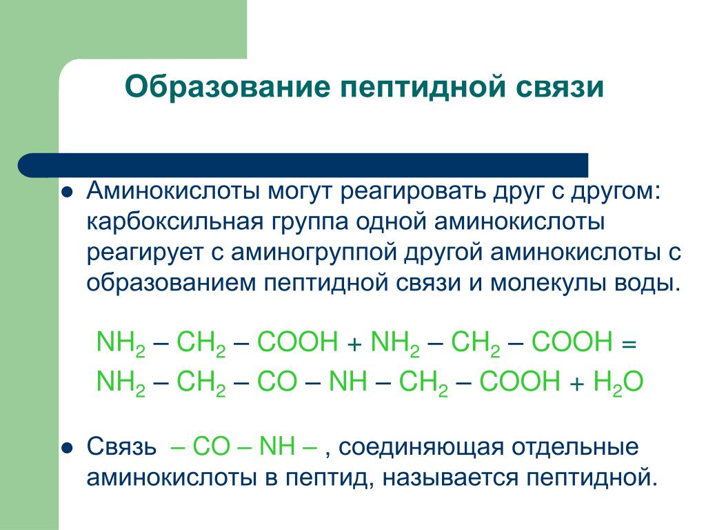 Глицин реагирует с водой