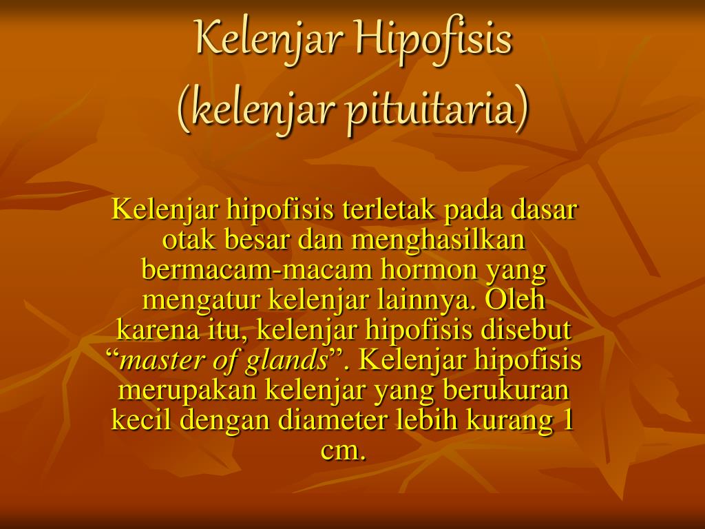 Kelenjar hipofisis disebut sebagai master of glands sebab