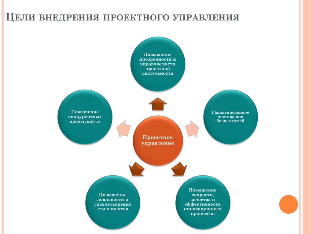 Курсовой проект по управлению проектами