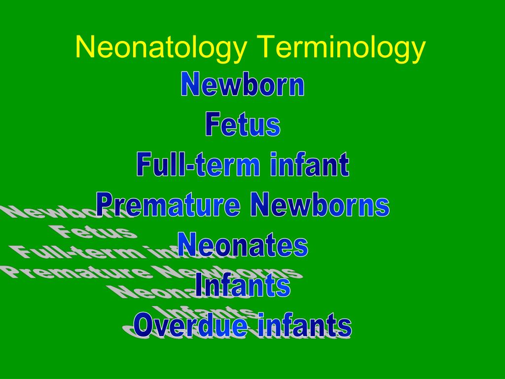 PPT Neonatology PowerPoint Presentation, free download ID6169193