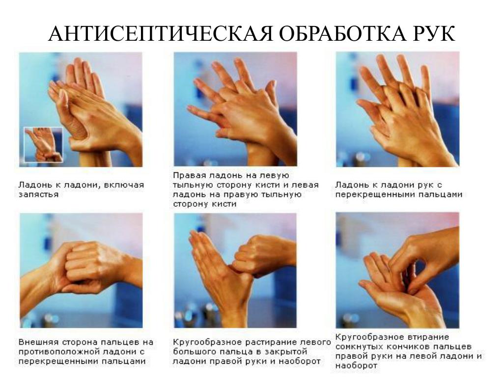Приказ мытья рук. Алгоритм гигиенической обработки рук медперсонала. Гигиеническое мытье рук медперсонала. Гигиеническая обработка рук антисептиком. Гигиенический метод мытья рук.