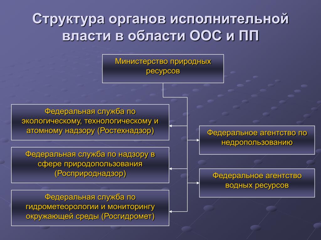 Территориальный орган недропользования. Структура исполнительной власти. Иерархия исполнительной власти. Федеральные органы исполнительной власти.