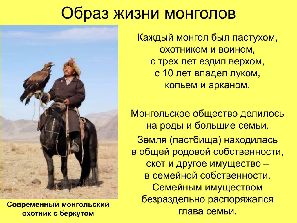 Интересные факты про монголию